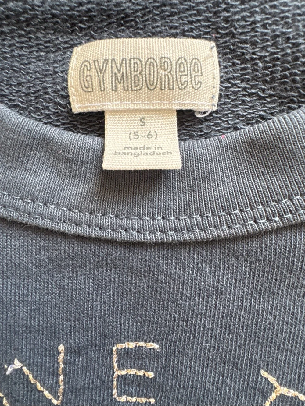 Gymboree “love explore”